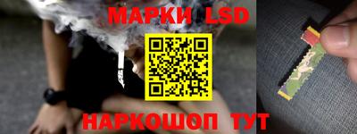 spice Аргун