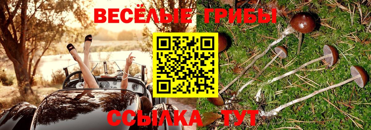 дарнет шоп  Галлюциногенные грибы прущие грибы  Вход с VPN  Галлюциногенные грибы Psilocybe  Брянск 