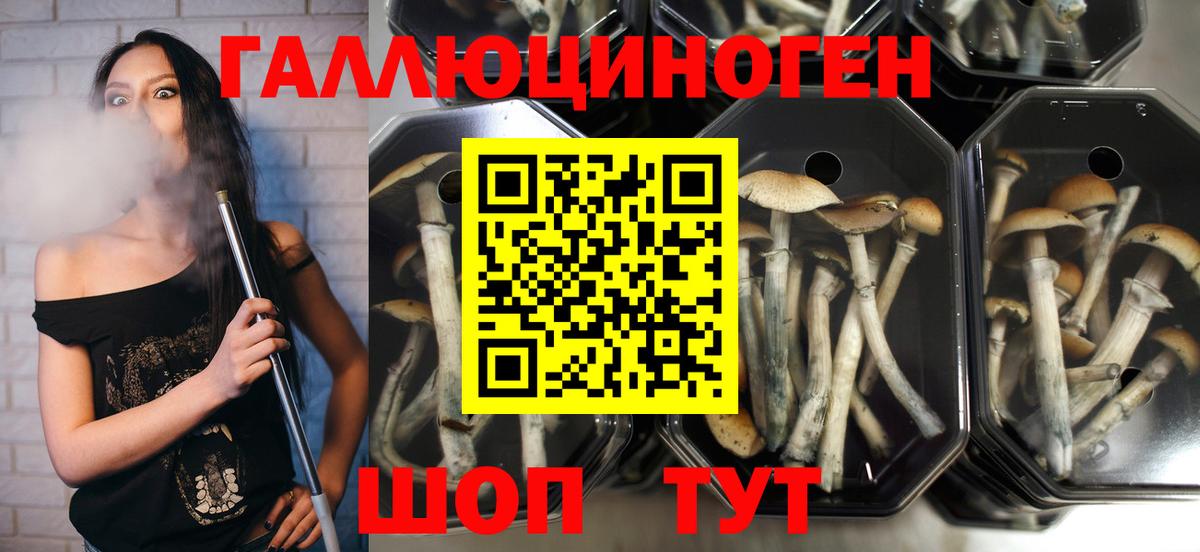 Галлюциногенные грибы MAGIC MUSHROOMS Брянск